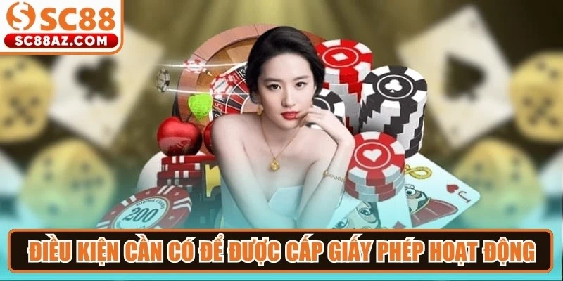 Điều kiện cần có để được cấp giấy phép hoạt động 