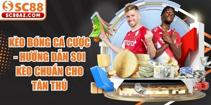 Kèo bóng cá cược